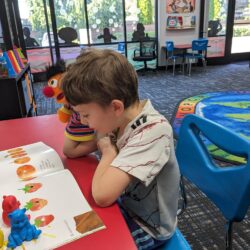 Reading Tutor At Masterthinkers In Vancouver, Wa